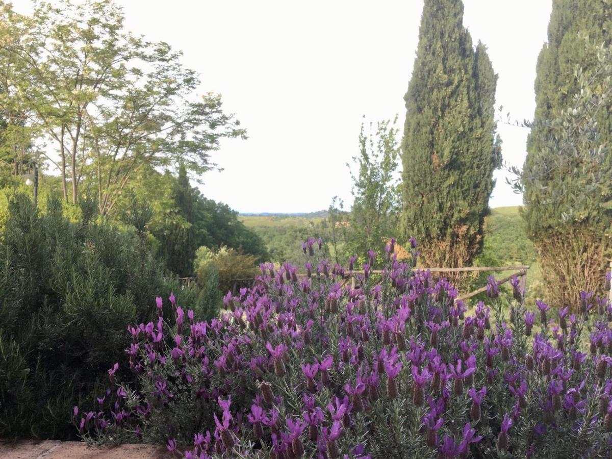 Villa Viva House Montaione Esterno foto