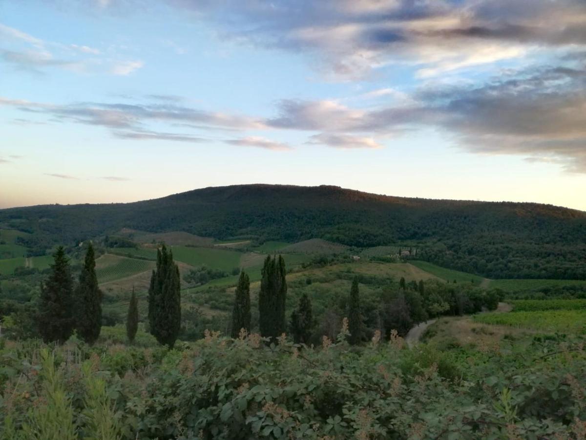 Villa Viva House Montaione Esterno foto