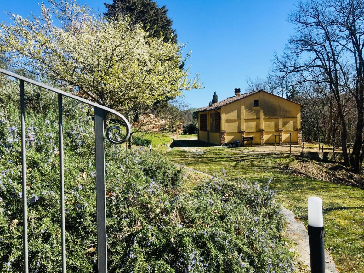 Villa Viva House Montaione Esterno foto