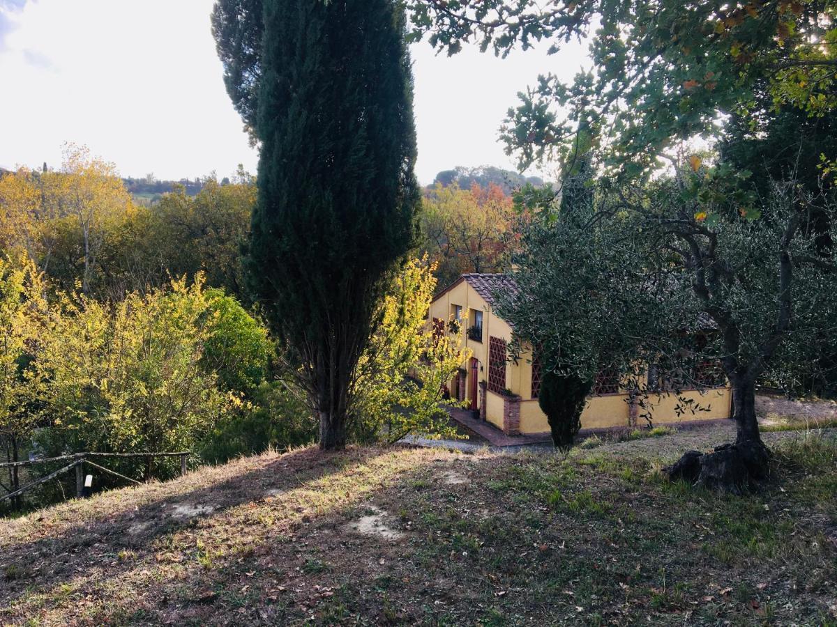 Villa Viva House Montaione Esterno foto