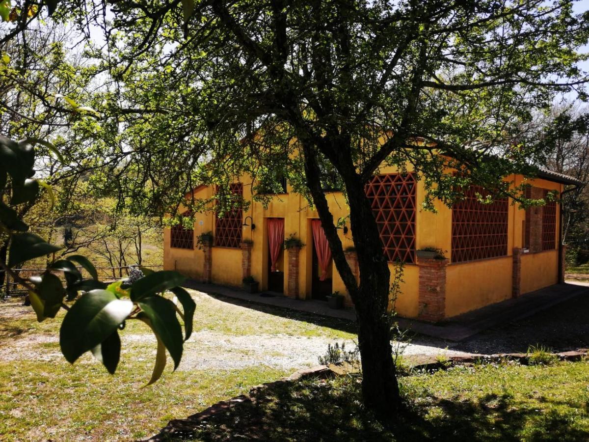 Villa Viva House Montaione Esterno foto