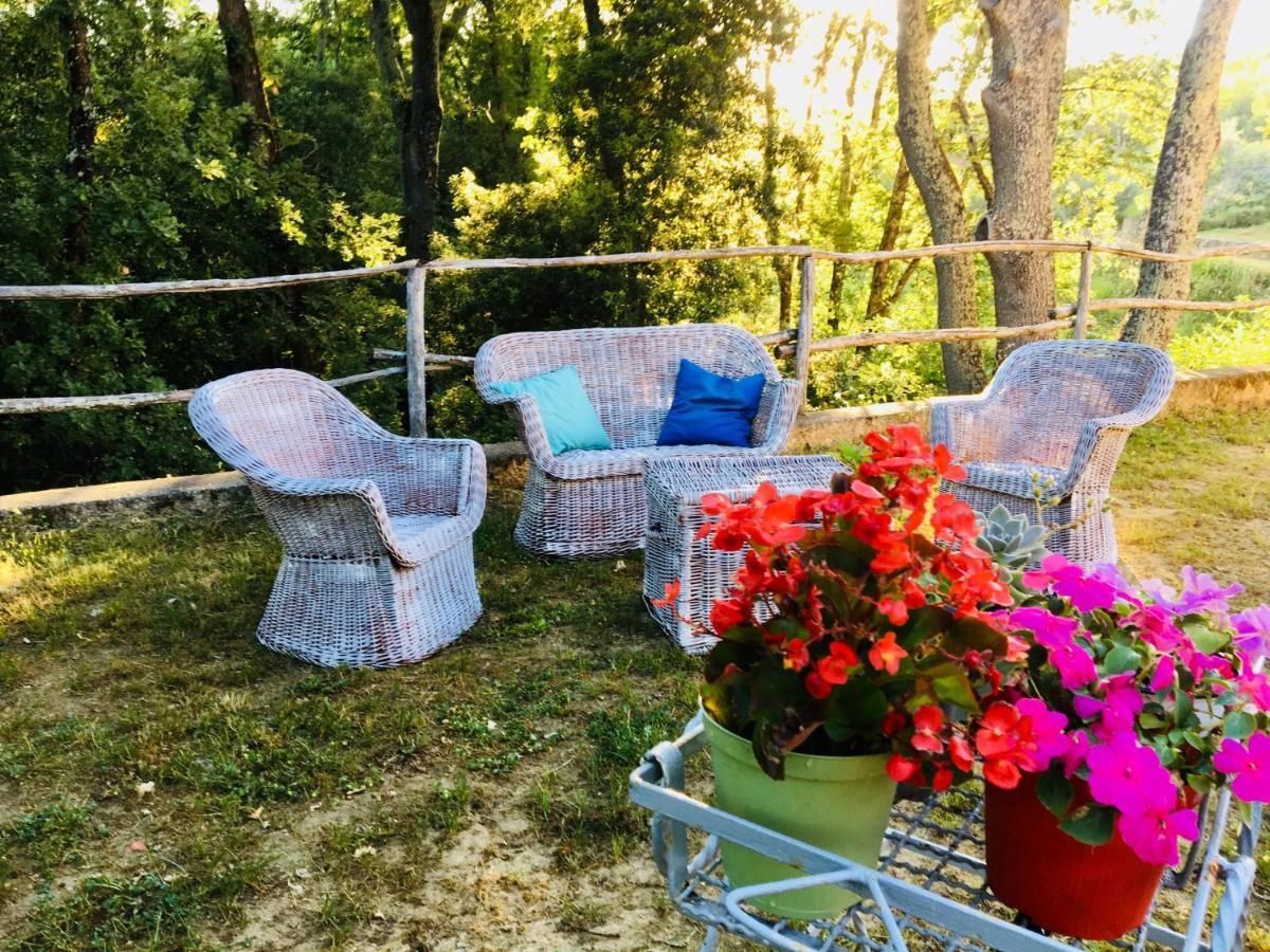 Villa Viva House Montaione Esterno foto